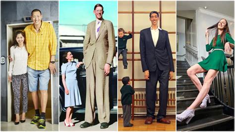 biggest man in the world|List of tallest people .